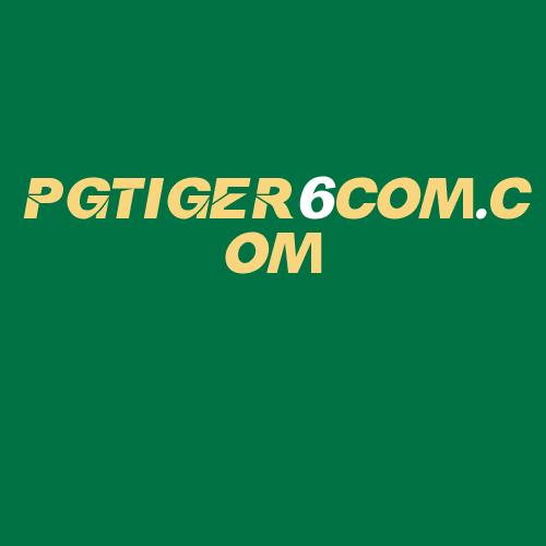 Logo da PGTIGER6COM